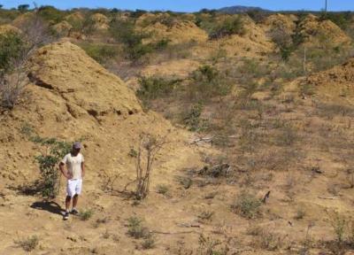 تور ارزان برزیل: کشف تپه های باستانی به وسعت بریتانیا در برزیل که به وسیله موریانه ایجاد شده اند