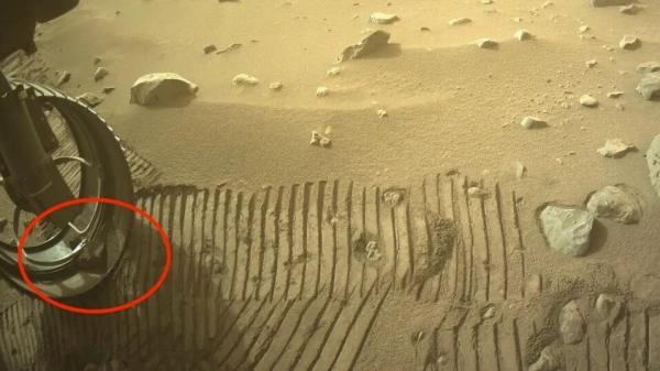 حیوان خانگی مریخ نورد ناسا در سیاره سرخ!، عکس